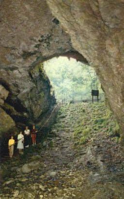 Национален парк Мамонтовая Пещера, Кентъки Картичка