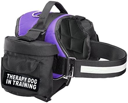 Куче-терапевт в Тренировъчната впряг с Подвижни Седельной чанта Раница-Переноска за Пътуване. 2 Сменяеми кръпка.