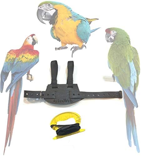 Шлейка за птици EZ Macaw с 8-футовым каишка (Голяма, Вино-червено)