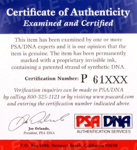 Ръкавици за ММА с Автограф Сатоши Ишии Century PSA/DNA COA Rizin IGF Bellator с Автограф - Ръкавици UFC С Автограф