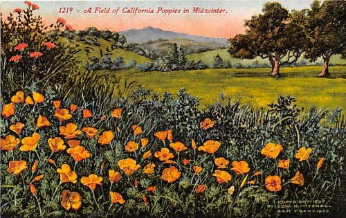 Разни, Калифорния Картичка