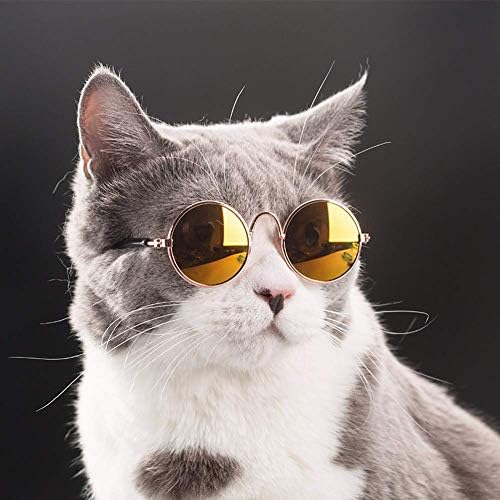 Слънчеви очила за кучета и котки, Слънчеви Очила за Плюшени Малки Кучета, Британски Къса Тъканни Кукла, Слънчеви